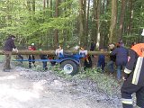 Maibaum_2016 (62).JPG